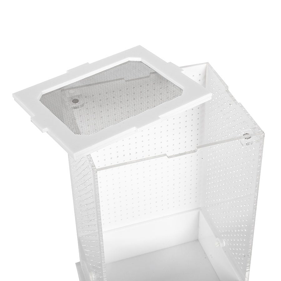 RZ White Base Insect Acrylic Box, 10×8.5x15cm