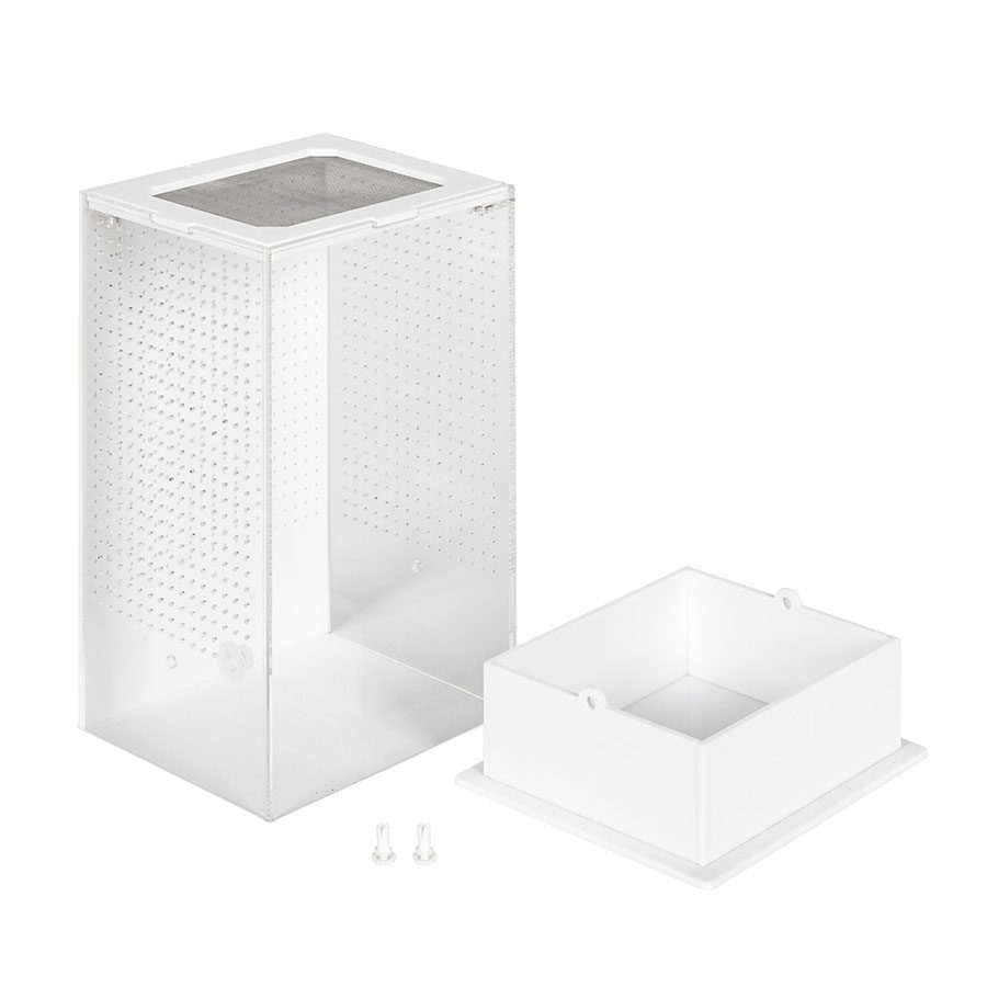 RZ White Base Insect Acrylic Box, 12x10x20cm