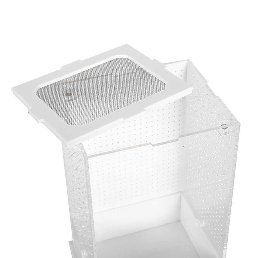 RZ White Base Insect Acrylic Box, 12x10x20cm