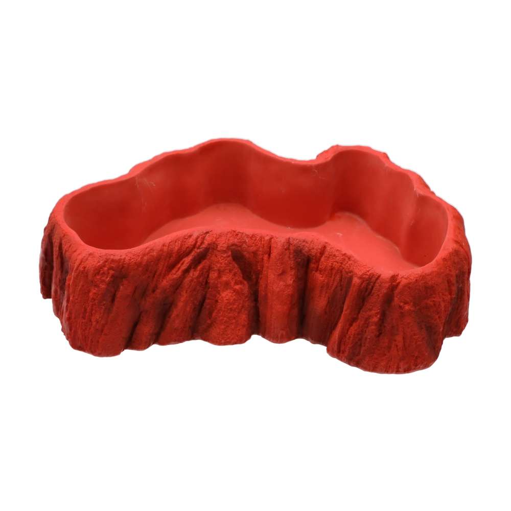 Beardie Billabong Large