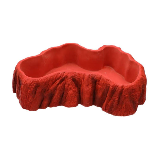 Beardie Billabong Large