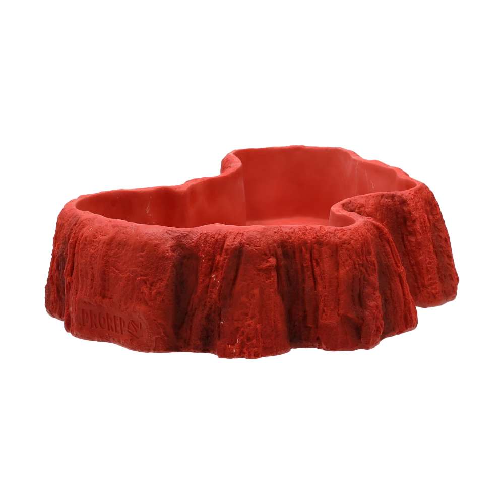 Beardie Billabong Large