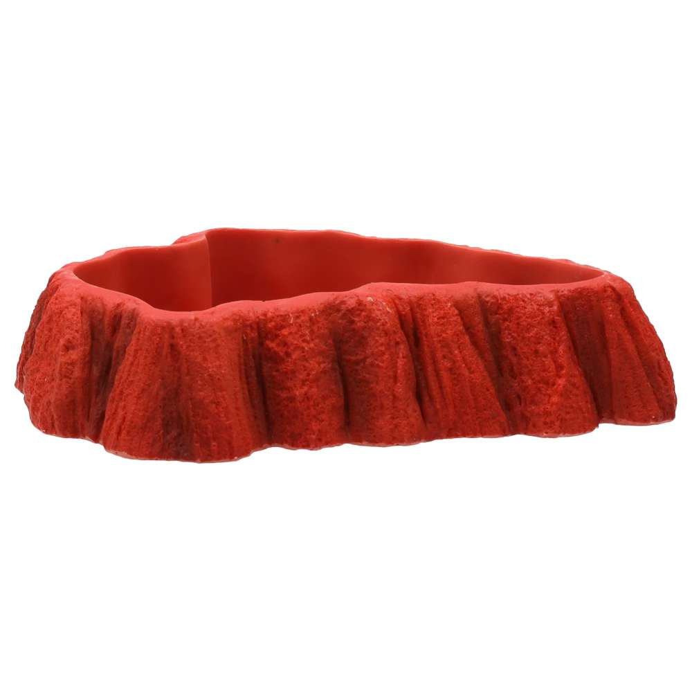 Beardie Tucker Feed Dish