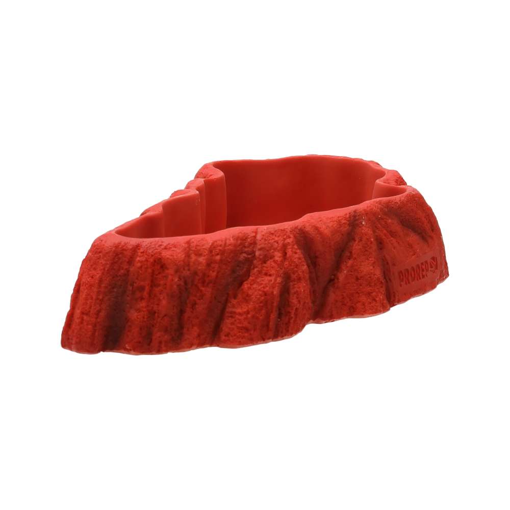 Beardie Tucker Feed Dish