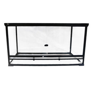 Betta Terra Glass Terrarium