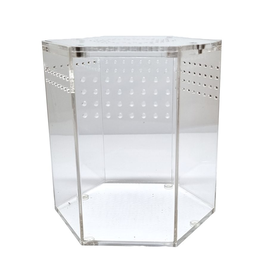 HerpXotic Hexagon Enclosure