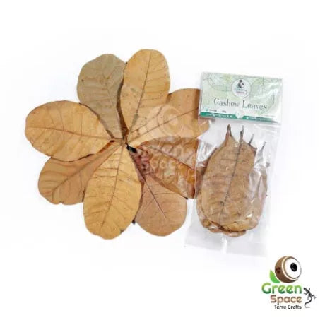 GreenSpace Leaf Litter