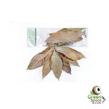 GreenSpace Leaf Litter