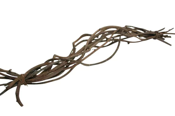 Riverview reptiles Crazy Vine 1pc