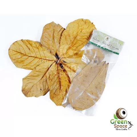 GreenSpace Leaf Litter