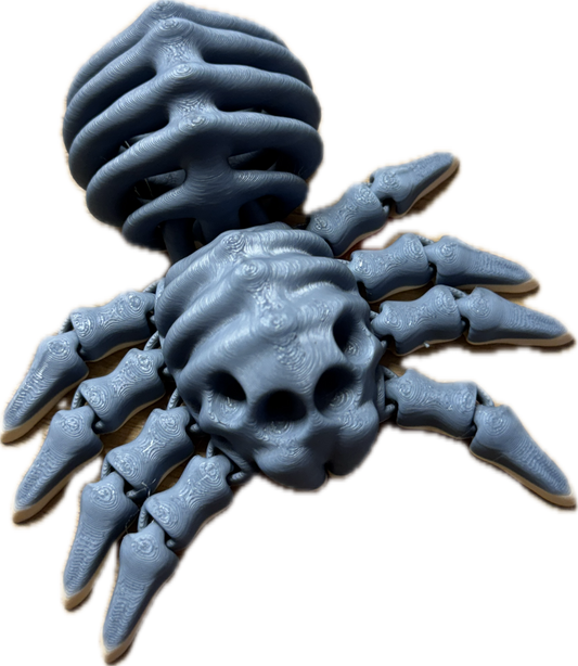 3D Printed Spider Skeleton