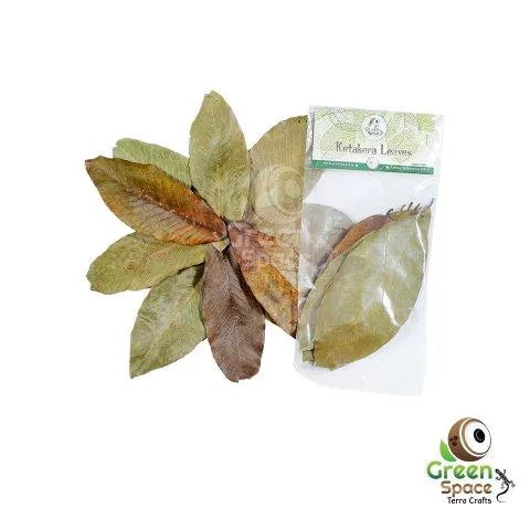 GreenSpace Leaf Litter