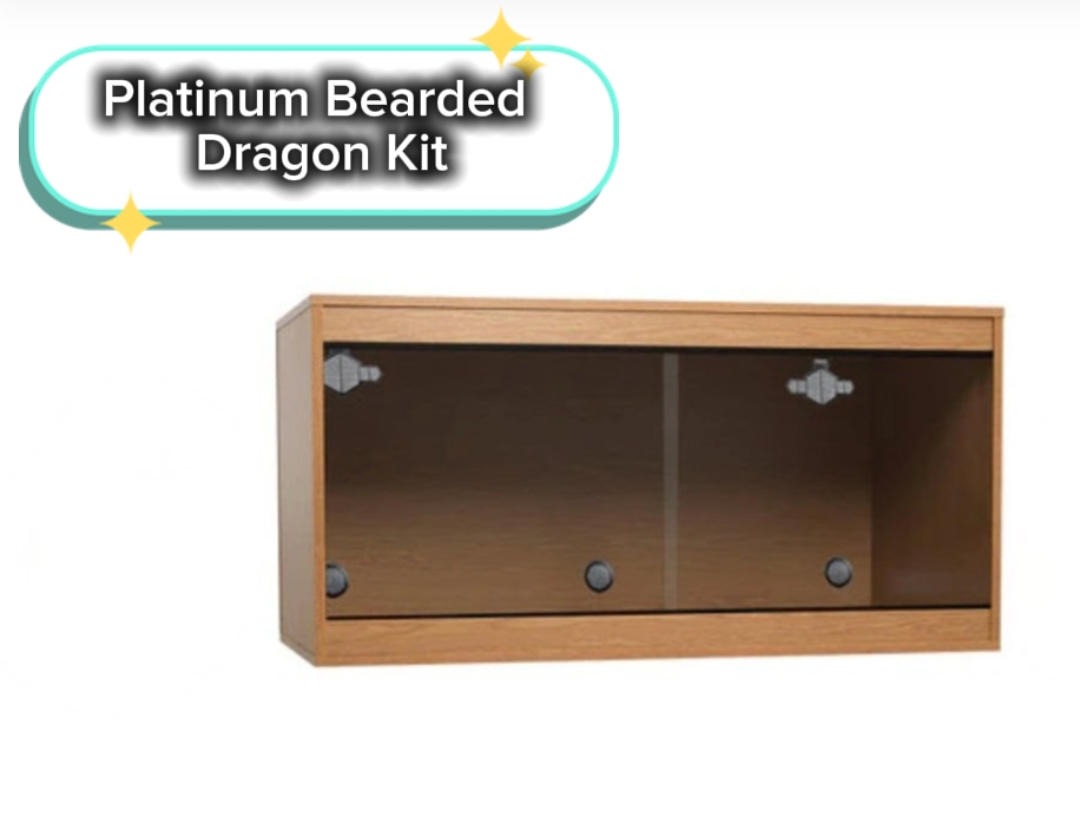 Bearded Dragon Kit
