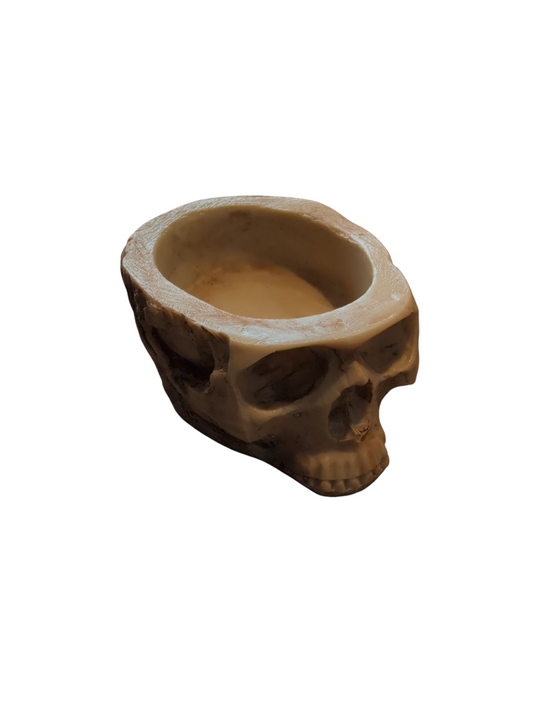 Human Skull Bowl