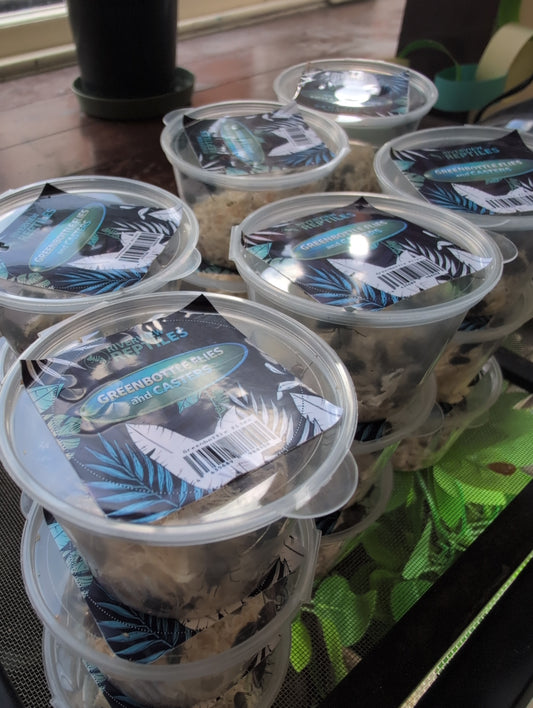 Green Bottle Casters and Flies *New smaller Tub*