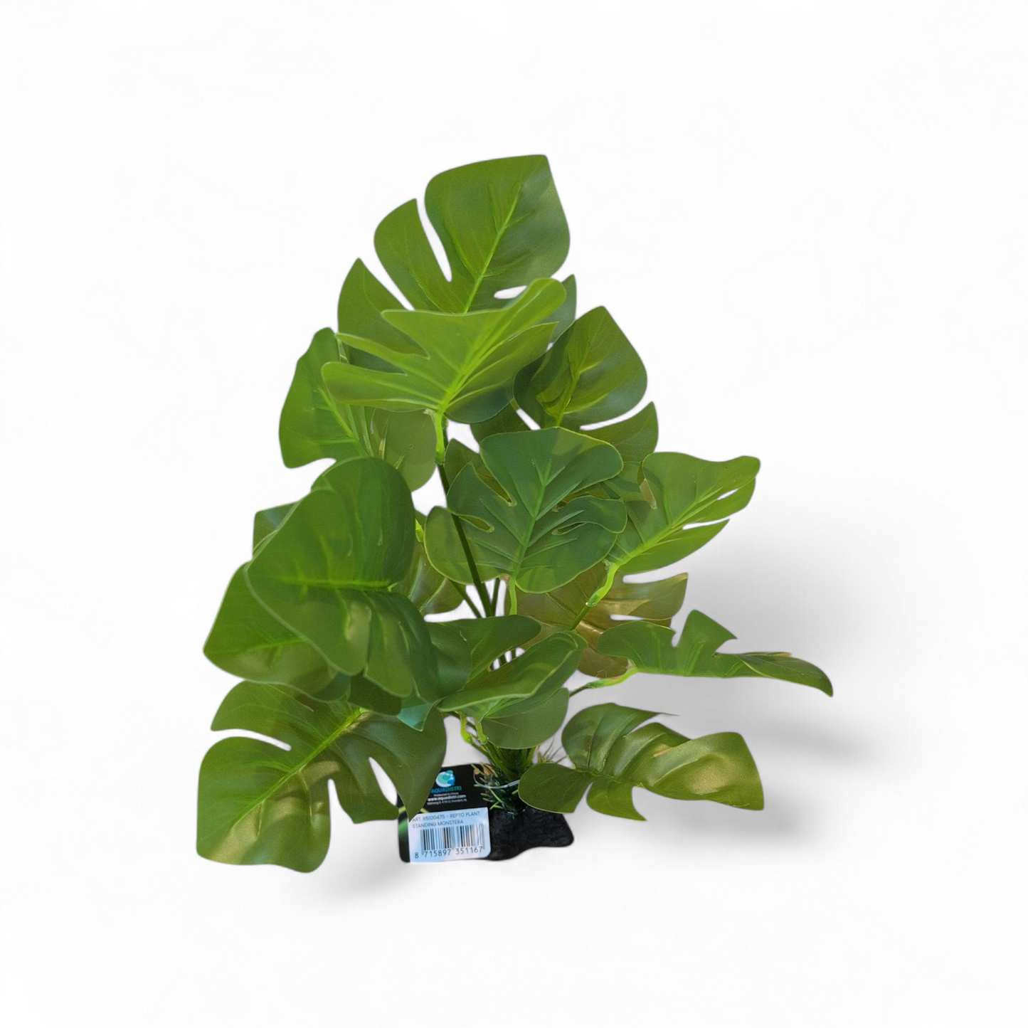 Repto Plant Standing Monstera
