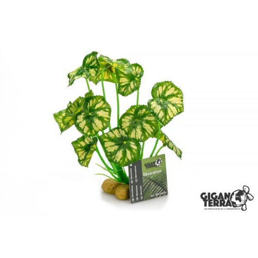 Giganterra Standing Plant