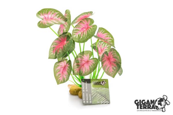 GiganTerra Standing Plant 242 - 21cm