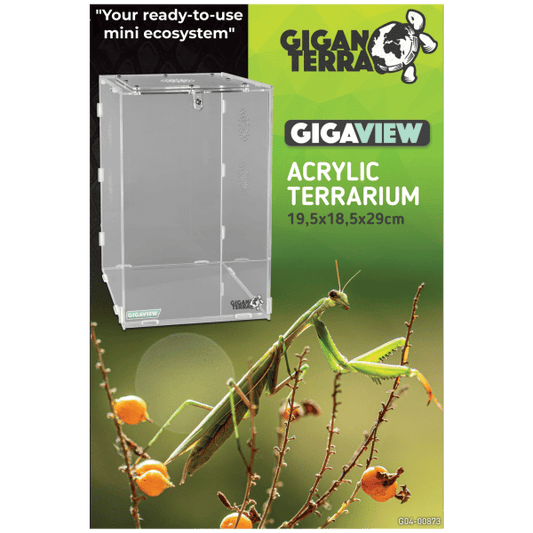 Giganterra Gigaview Large