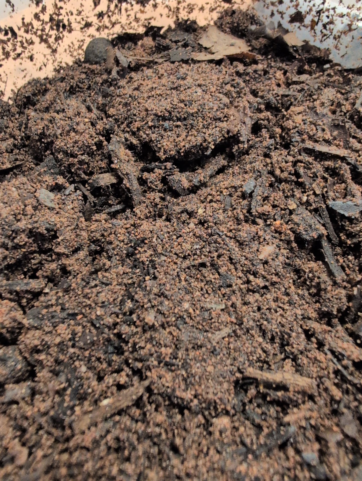 Molly's Mud-3 litres