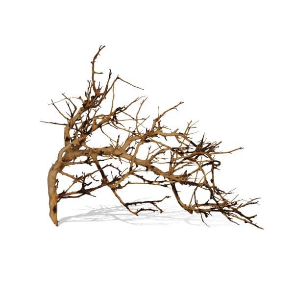 Natural Bush Vine Bundle 10-30cm