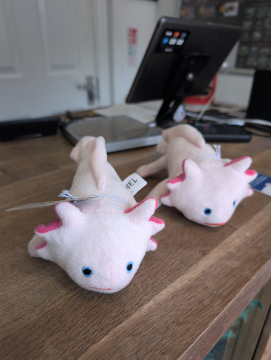 Axolotl Plushie