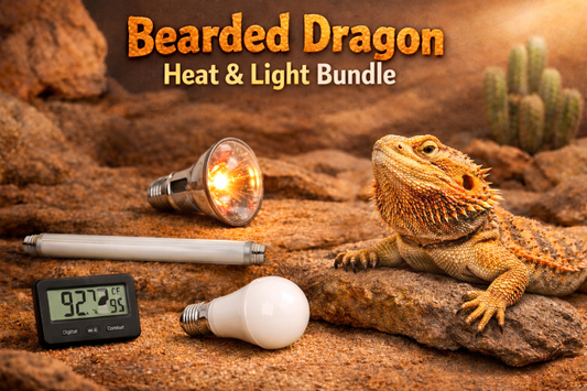 Bearded Dragon Lighting and Heating Bundle