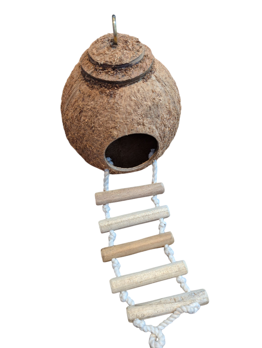 Coco Shell with Ladder