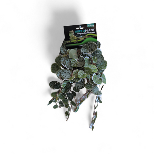 Repto Plant Hanging Round 46cm