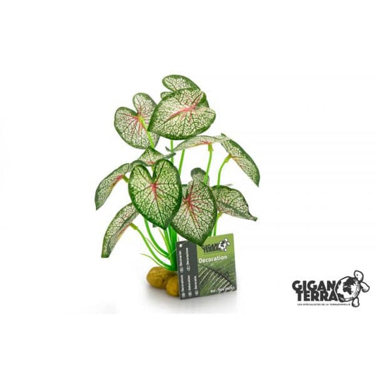 GiganTerra Standing Plant 241 - 21cm