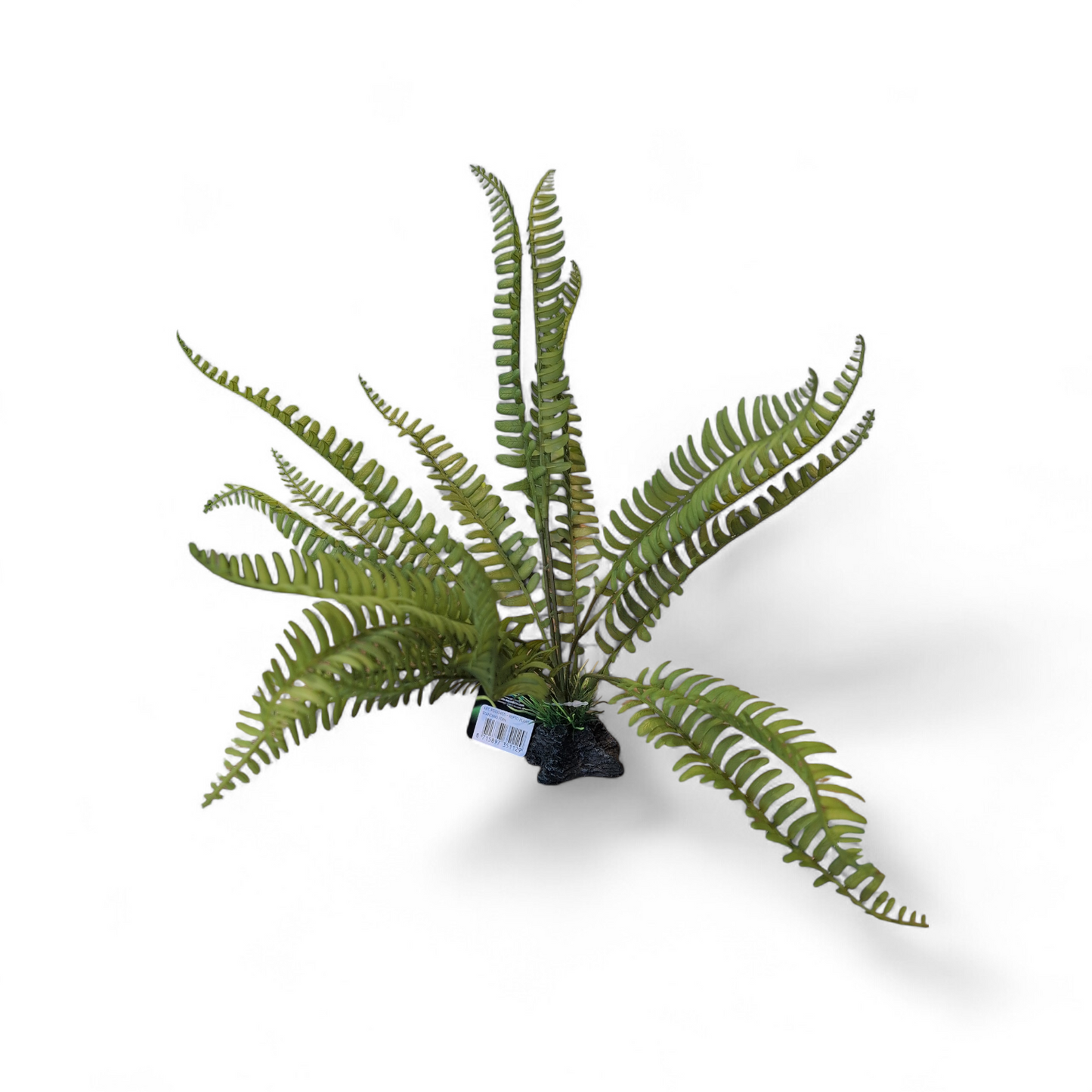 Repto Plant Standing Fern