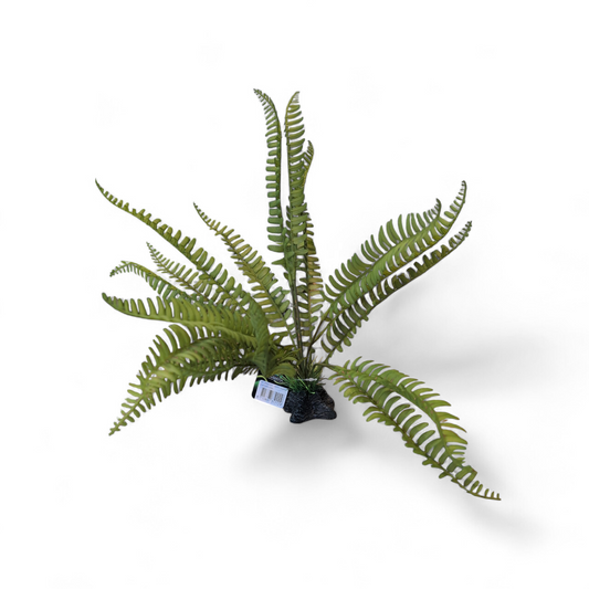 Repto Plant Standing Fern