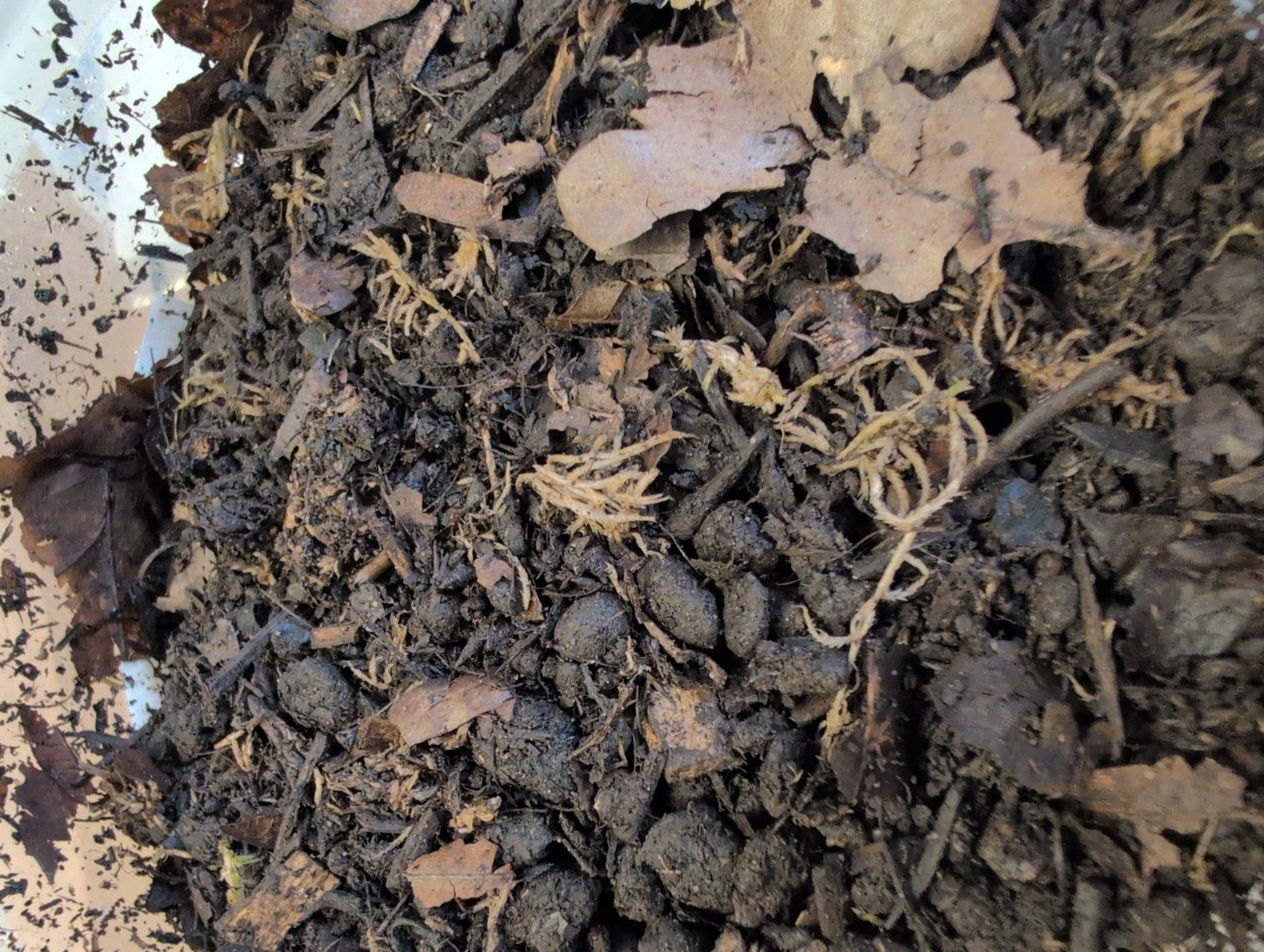 Molly's Mud-3 litres