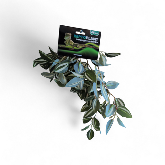Repto Plant Hanging Green and White 46cm