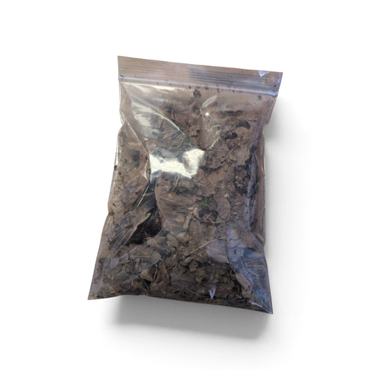 Riverview Reptiles Leaf Litter
