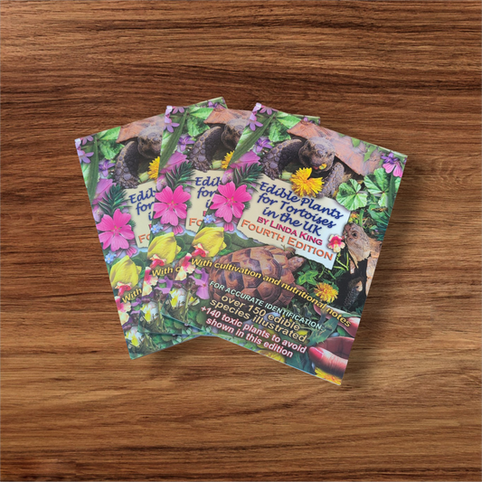 Edible Plants For Tortoises in The UK- Linda King