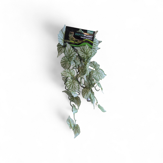 Repto Plant Hanging Hedera 65cm